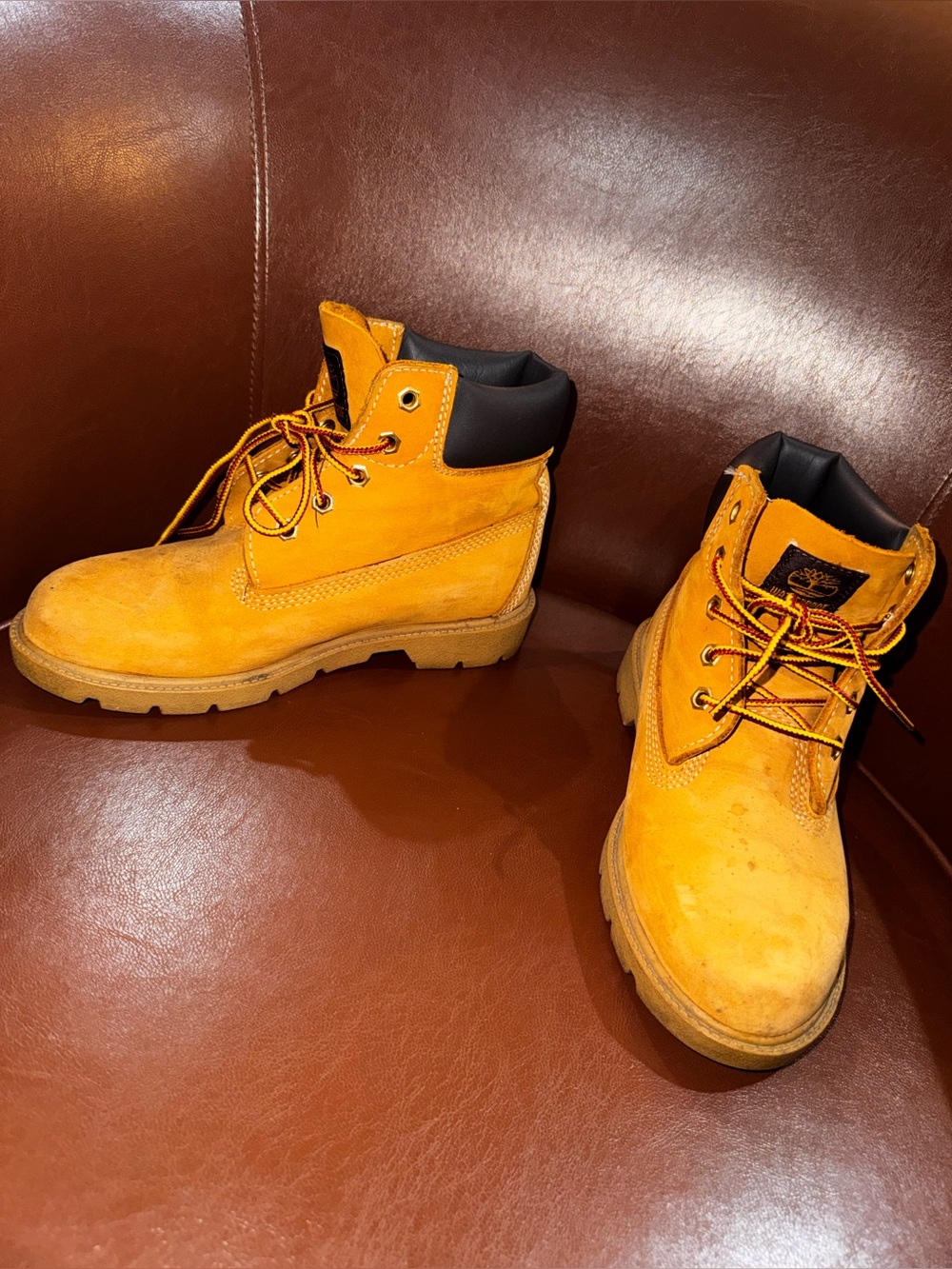 Timberland 6 Inch Classic Waterproof Boots Boys 3Y Wheat